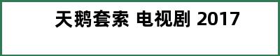 天鹅套索 电视剧 2017